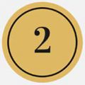 vip-2
